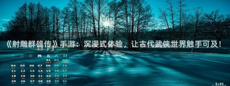 奇亿娱乐什么意思：《射雕群雄传》手游：沉浸式体验，让古代武侠
