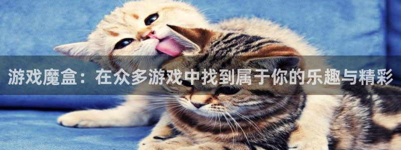 奇亿娱乐平台登录入口：游戏魔盒：在众多游戏中找到属于你的乐趣