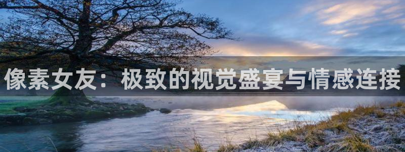奇亿娱乐平台负责人：像素女友：极致的视觉盛宴与情感连接