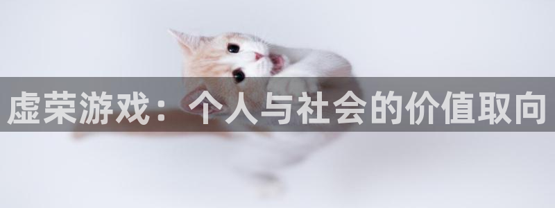 奇亿娱乐平台注册资金多少：虚荣游戏：个人与社会的价值取向