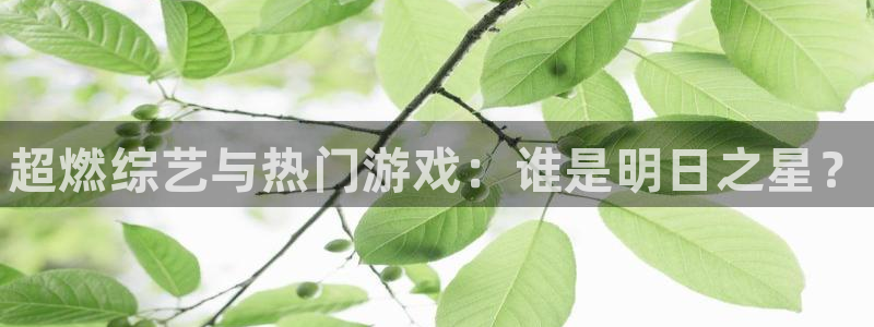 奇亿娱乐是什么：超燃综艺与热门游戏：谁是明日之星？