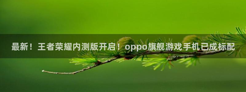 奇亿娱乐平台注册资金多少：最新！王者荣耀内测版开启！oppo