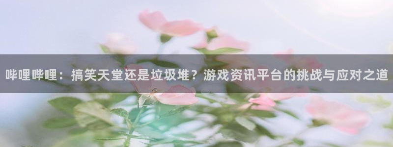 奇亿娱乐2登录：哔哩哔哩：搞笑天堂还是垃圾堆？游戏资讯平台的