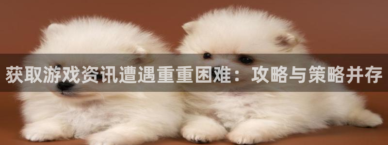 奇亿娱乐主管：获取游戏资讯遭遇重重困难：攻略与策略并存