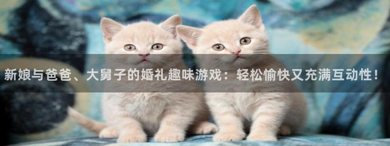 奇亿娱乐4招商：新娘与爸爸、大舅子的婚礼趣味游戏：轻松愉快又