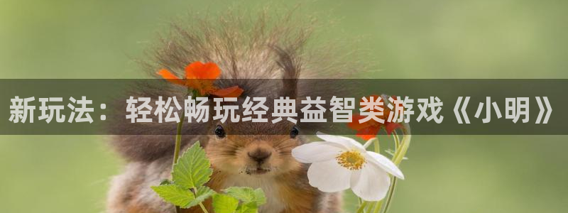 奇亿娱乐在线登录：新玩法：轻松畅玩经典益智类游戏《小明》