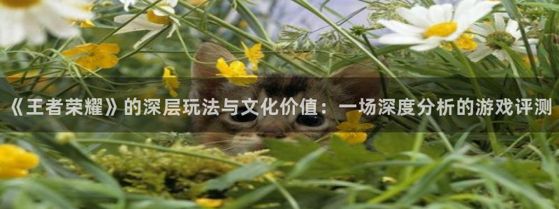 奇亿娱乐直属:《王者荣耀》的深层玩法与文化价值:一场深度分析
