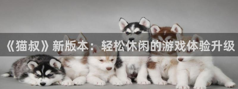 奇亿娱乐网页登录入口:《猫叔》新版本:轻松休闲的游戏体验升级