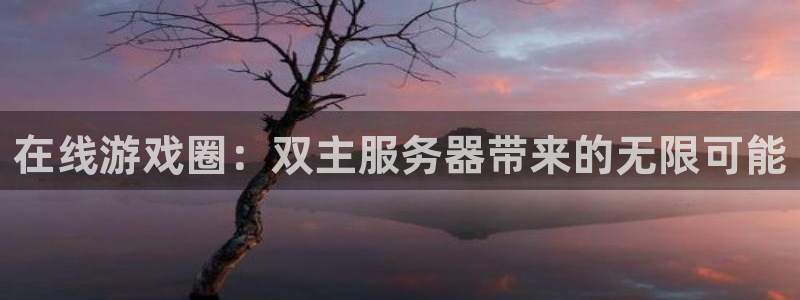 奇亿娱乐注册网站：在线游戏圈：双主服务器带来的无限可能
