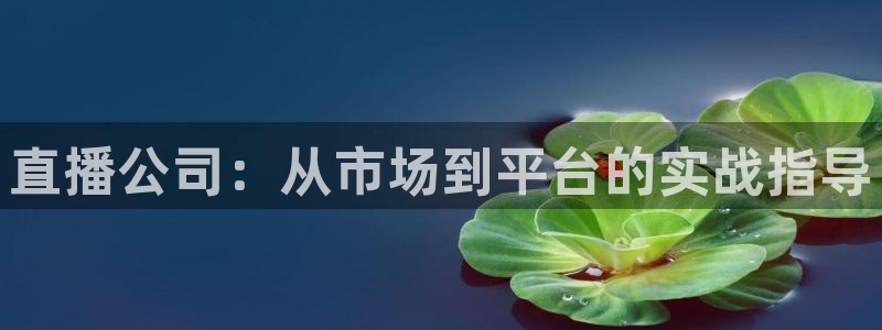 足球直播飞速