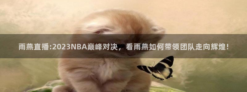 飞速体育nba