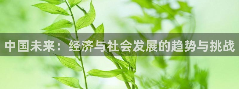 飞速体育在线直播nba：中国未来：经济与社会发展的趋势与挑战