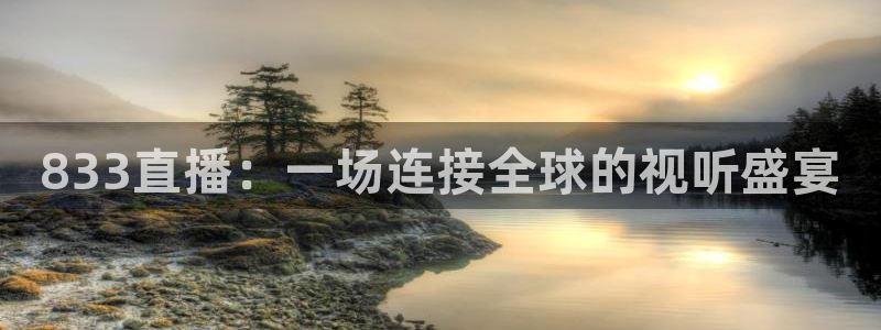 飞速直播nba无插件直播：833直播：一场连接全球的视听盛宴