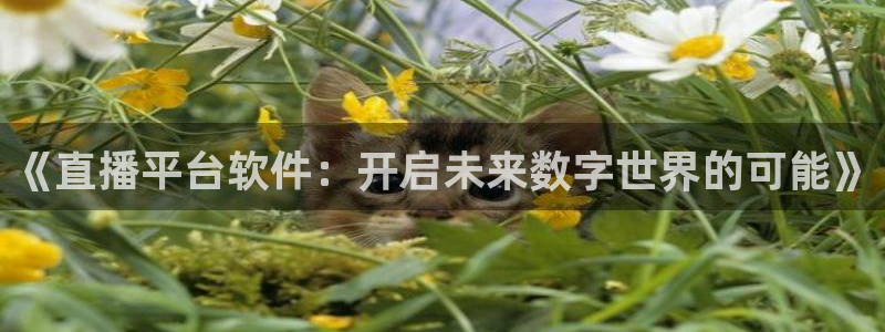 飞速直播体育nba无插件：《直播平台软件：开启未来数字世界的可能》
