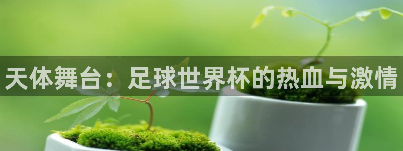 nba飞速直播在线观看免费：天体舞台：足球世界杯的热血与激情