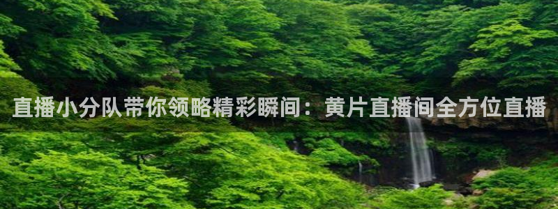 飞速直播体育在线观看：直播小分队带你领略精彩瞬间：黄片直播间全方位直播