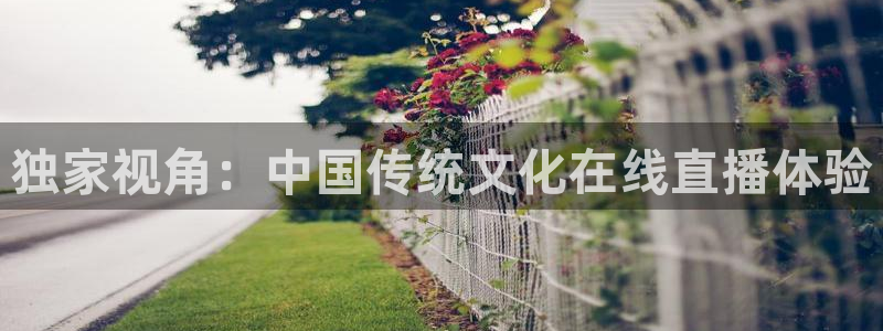 nba飞速直播在线观看：独家视角：中国传统文化在线直播体验